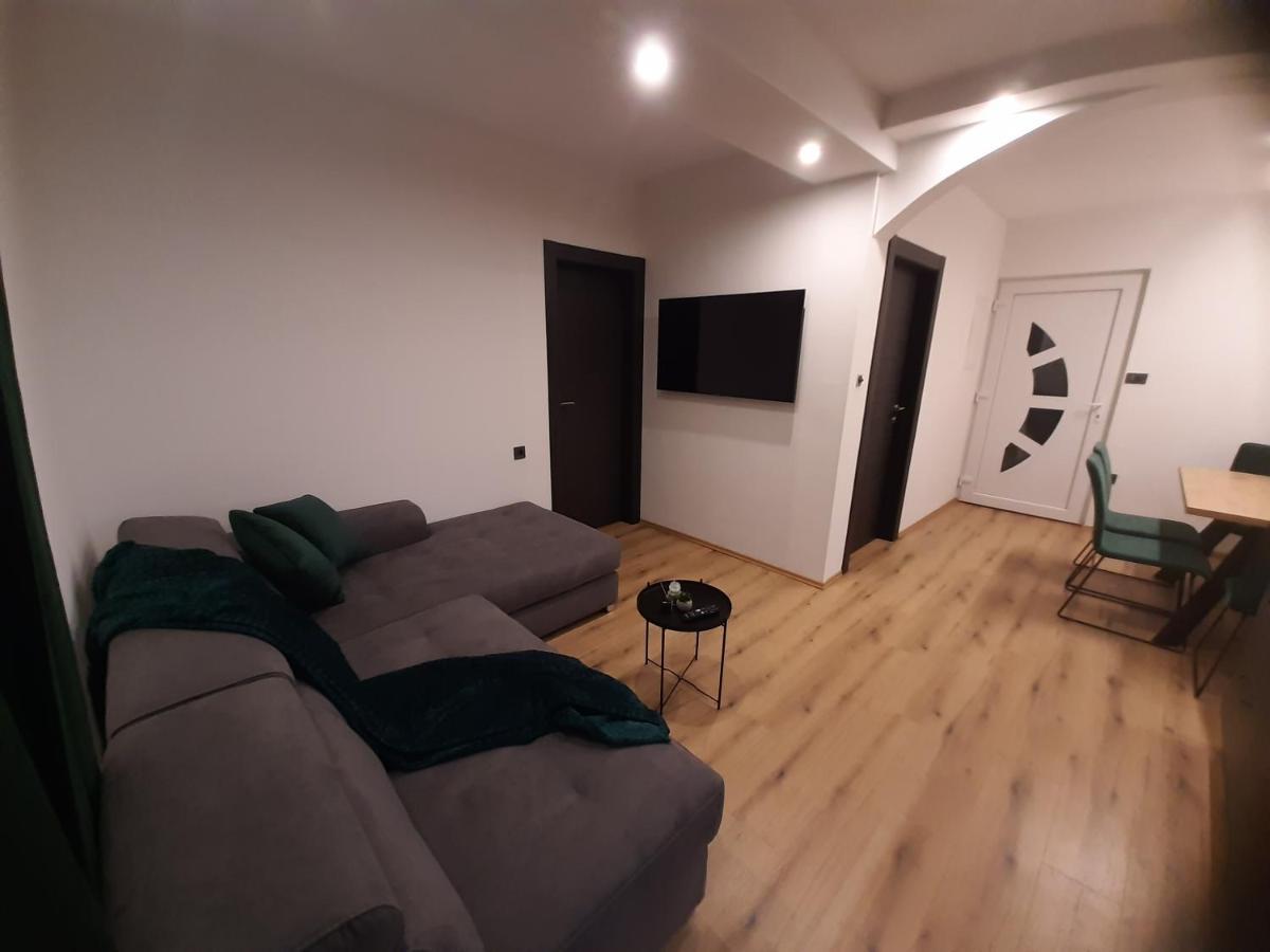Apartment Mate Lopar